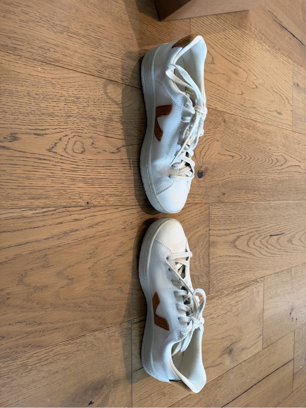 Brown & white Vejas